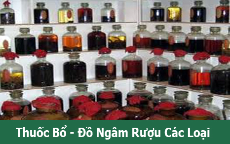 Thuốc Bổ - Đồ Ngâm Rượu