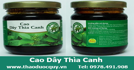 Cao Dây Thìa Canh - Hạ Đường-  trị bệnh tiểu đường