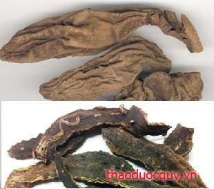 Huyền Sâm