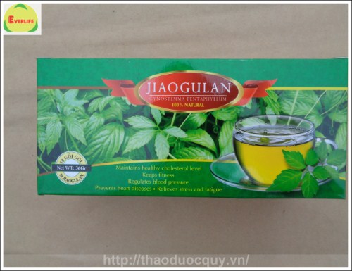 giảo cổ lam t&uacute;i lọc