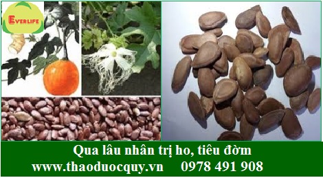 Qua l&acirc;u nh&acirc;n