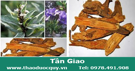 Vị thuốc tần giao